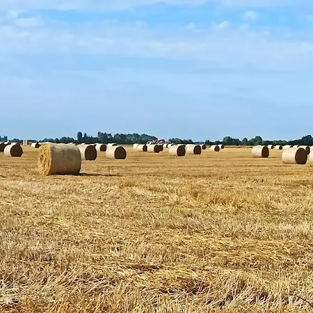 Hoeve Korenzegen. Oase Rust Dichtbij 度假居 德哈恩